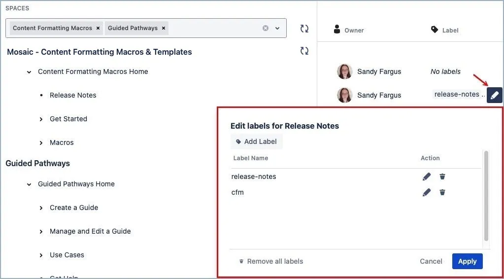 Edit labels dialog showing label options for a single page