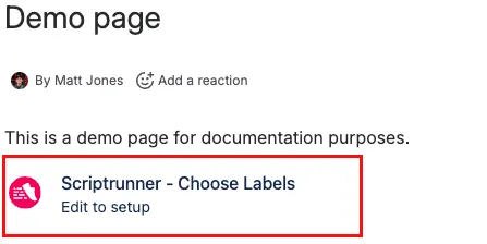 The Demo macro on a published page.