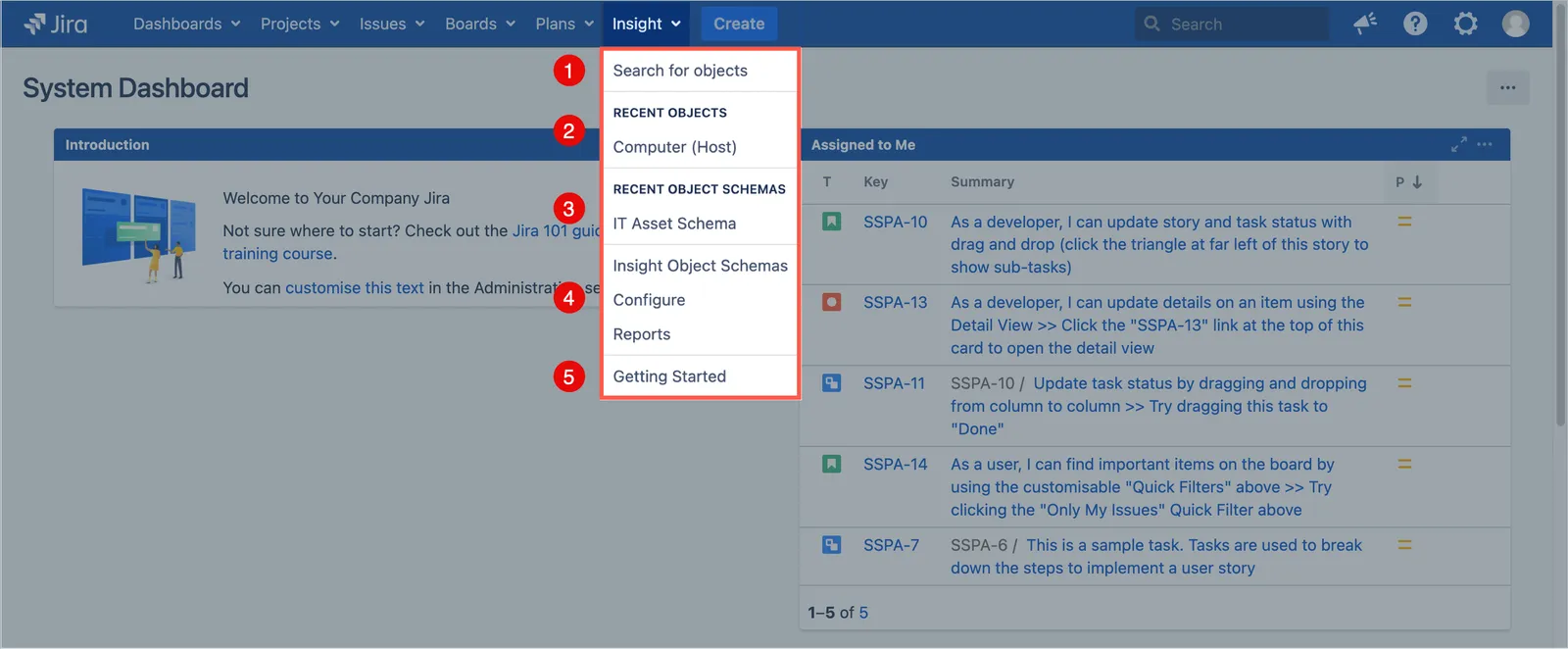Jira Insights and Assets menu showing sections for IAM, recent objects, recent object schemas, general options, and information.