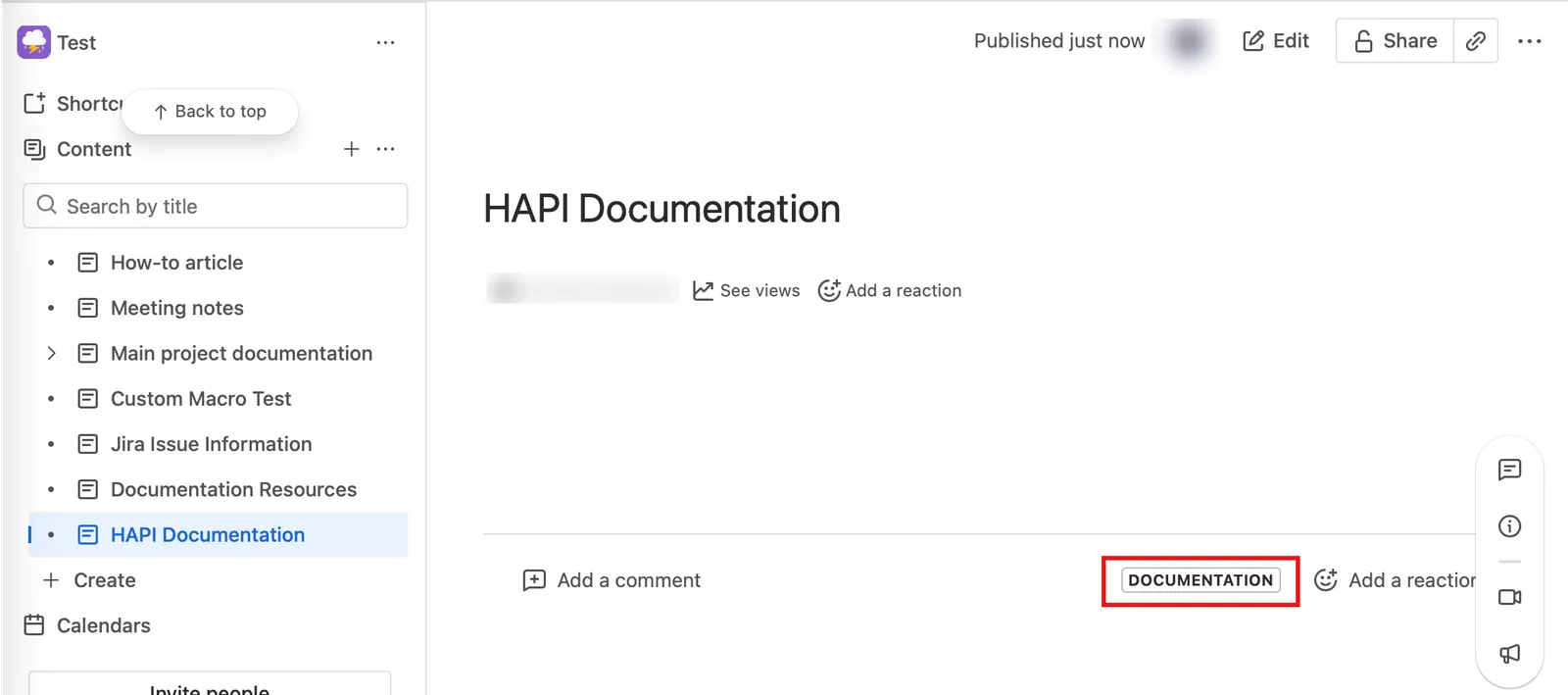 The HAPI Documentation page shown with a Documentation label highlighted.