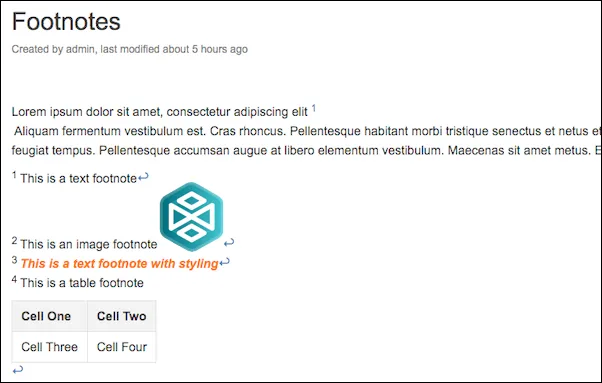 Rendered Confluence page showing multiple footnotes with different content types and formatting