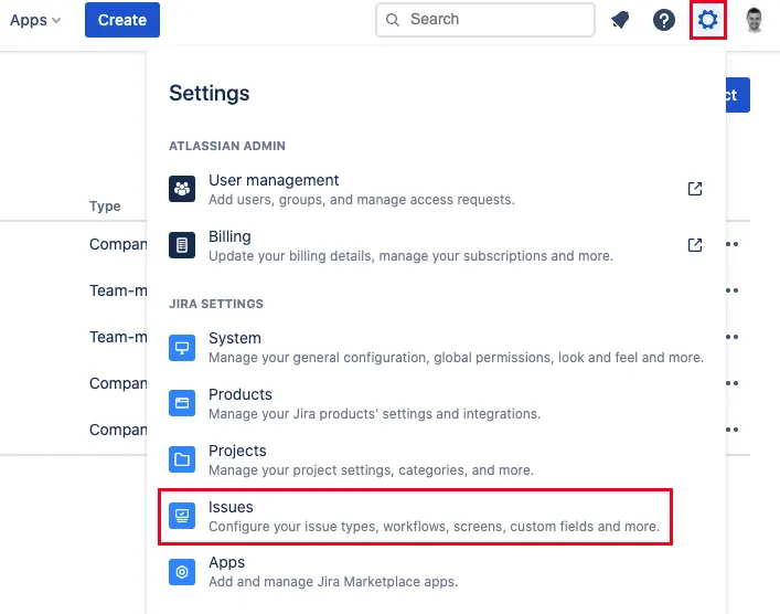 Issues menu in the Settings section