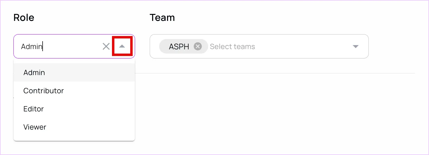 Role selection dropdown on the left, and team selection on the right.