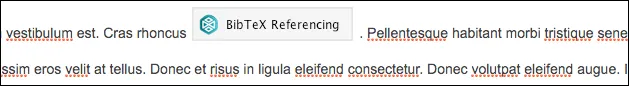 Confluence page showing the BibTeX Referencing macro placeholder inserted inline with the text
