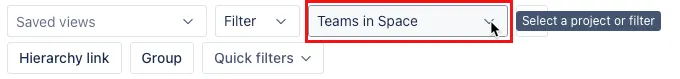 A Screenshot showing the Select a project or filter dropdown.