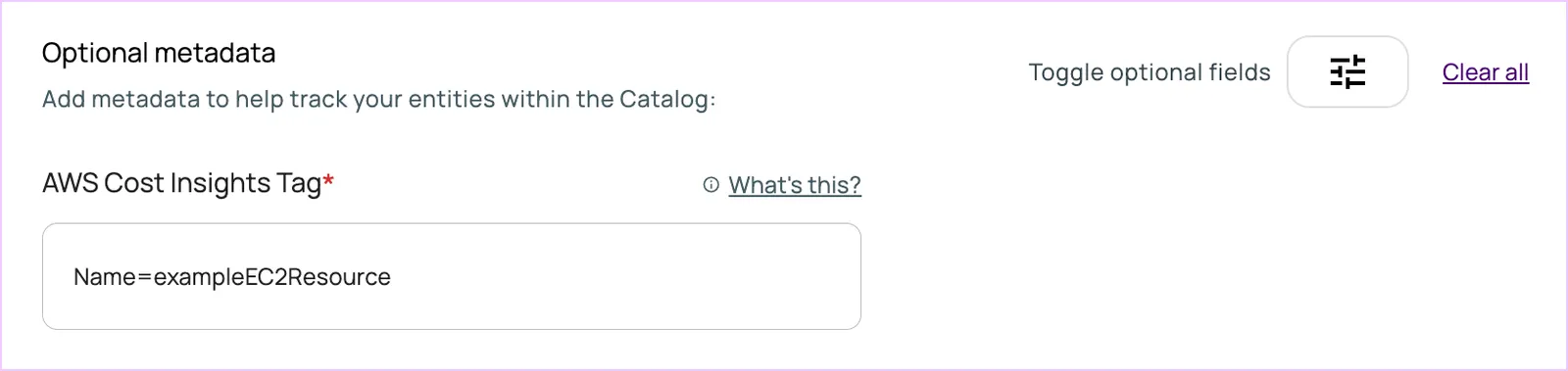 A field called "AWS Cost Insights Tag" has a sample value of "Name=exampleEC2Resource."